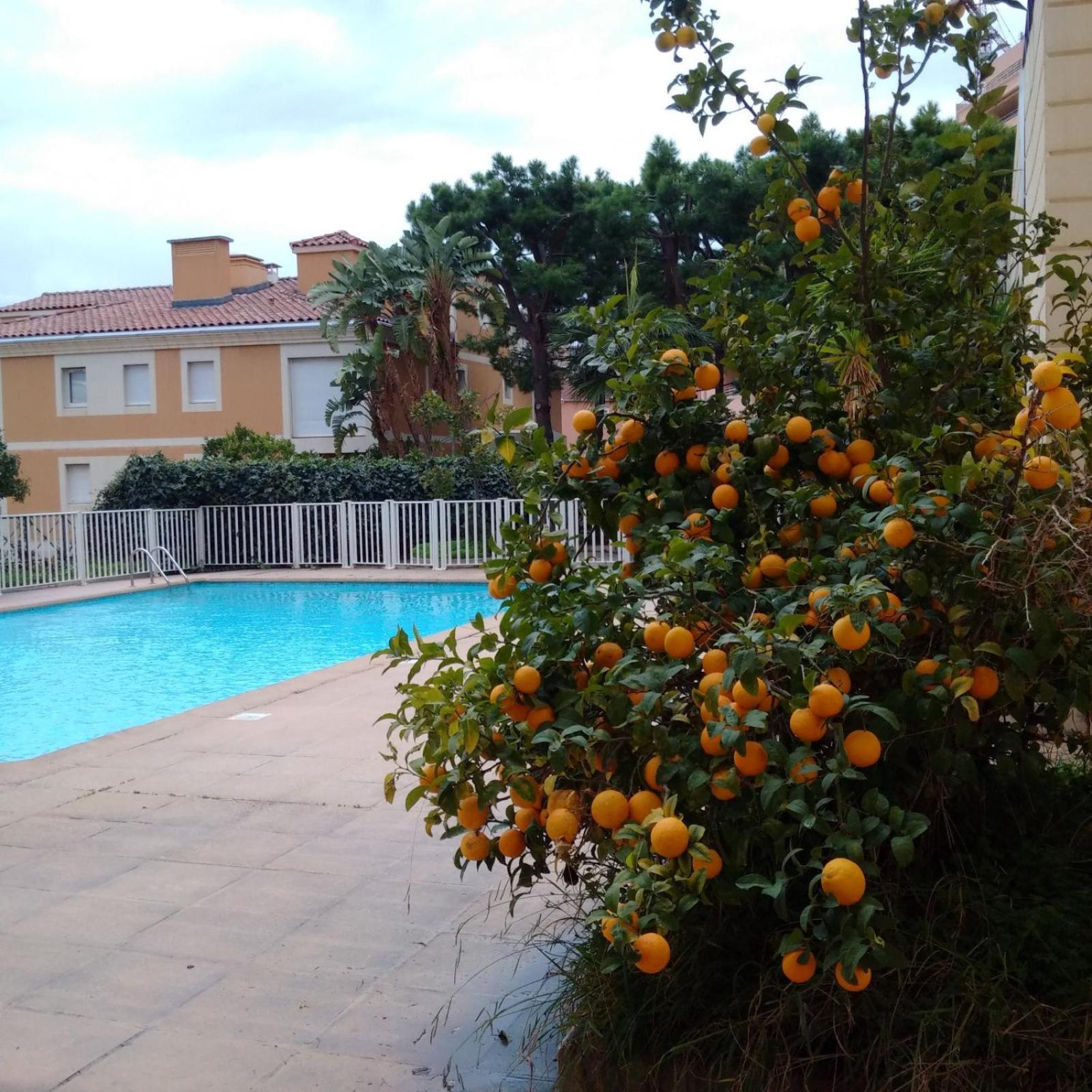 Direct Monaco Studio Devant Piscine Beausoleil Buitenkant foto